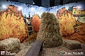 VBS_8119 - Van_Gogh_experience